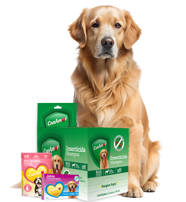 canamor-productos-higiene-perros-golden.png