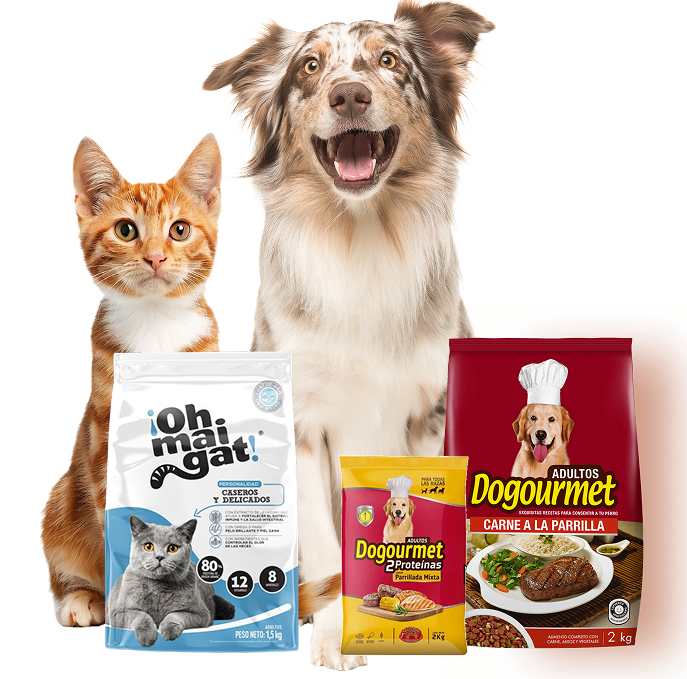 dogourmet-ohmaigat-perros-gatos-alimentos-premium.png