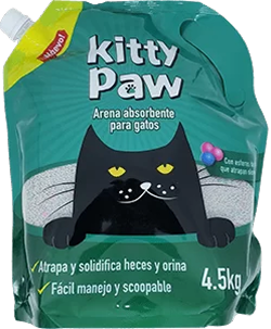 kitty-pawn-2