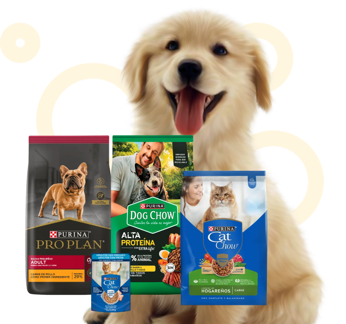 purina-banner